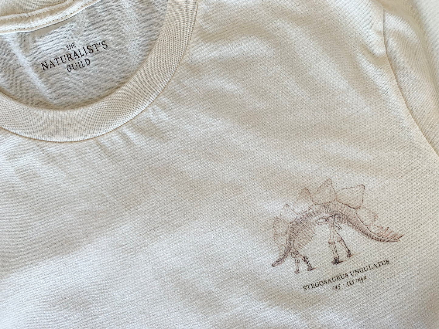 Stegosaurus Facts T-Shirt