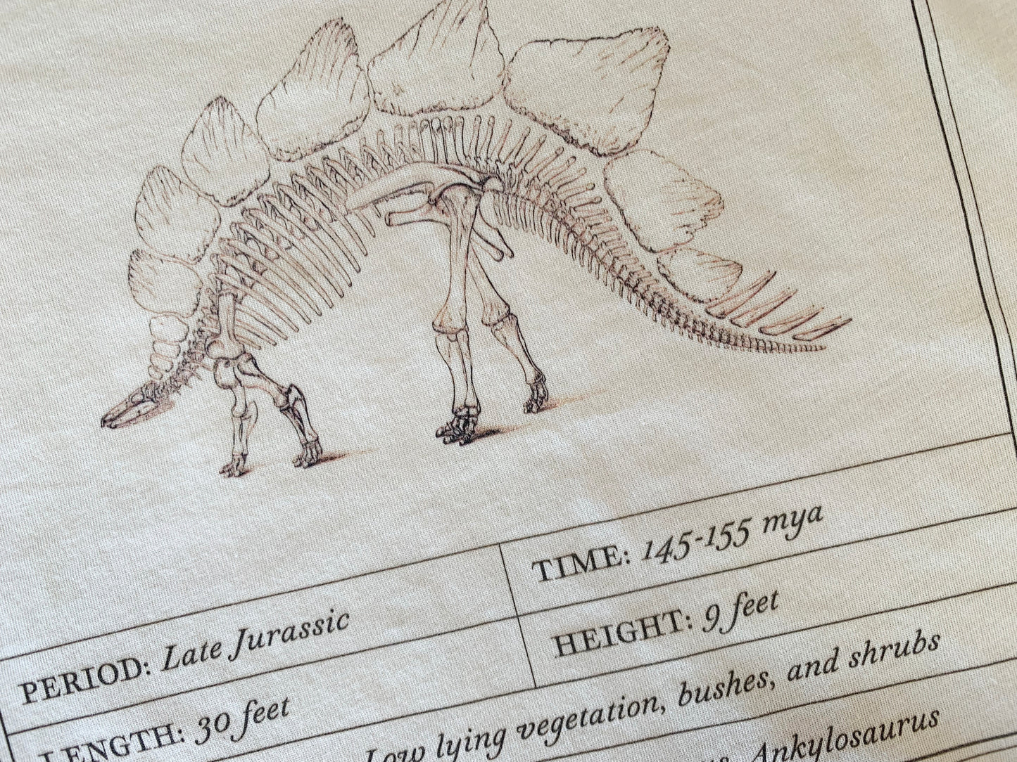 Stegosaurus Facts T-Shirt
