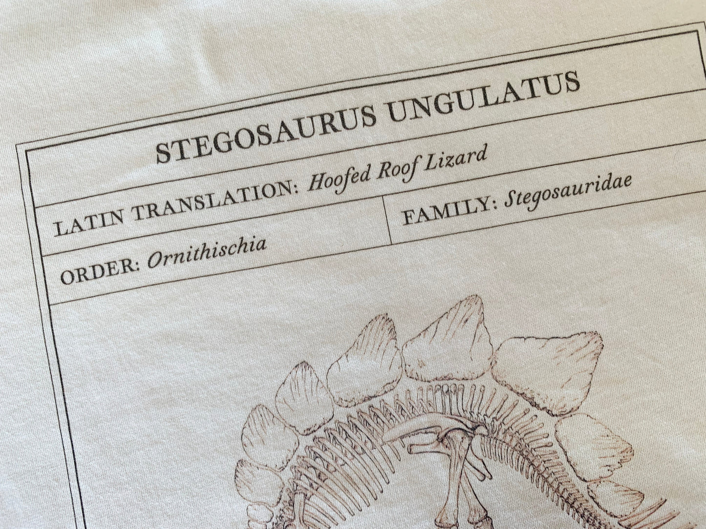 Stegosaurus Facts T-Shirt