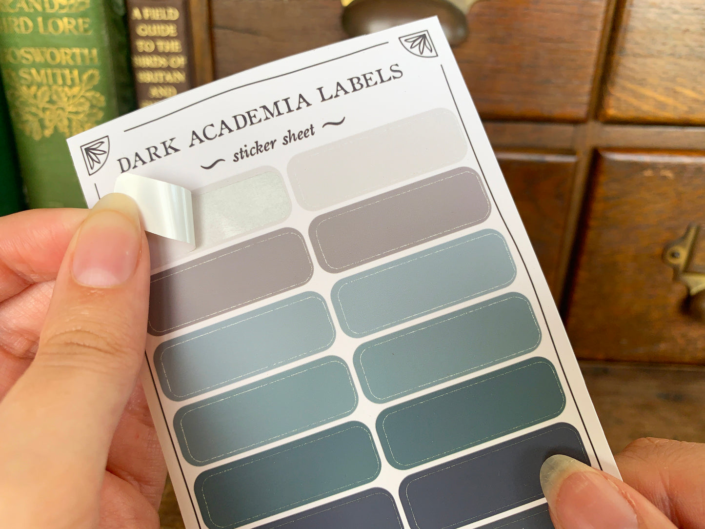 Dark Academia Label Sheet