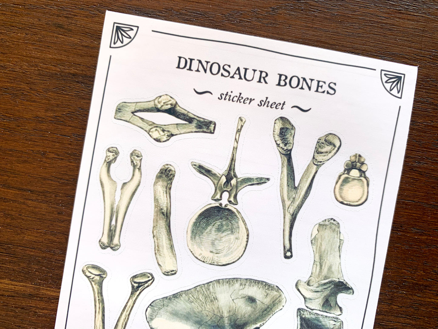 Dinosaur Bones Sticker Sheet