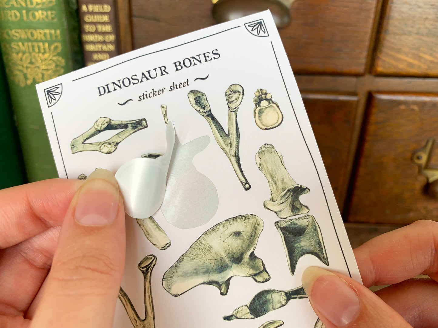 Dinosaur Bones Sticker Sheet