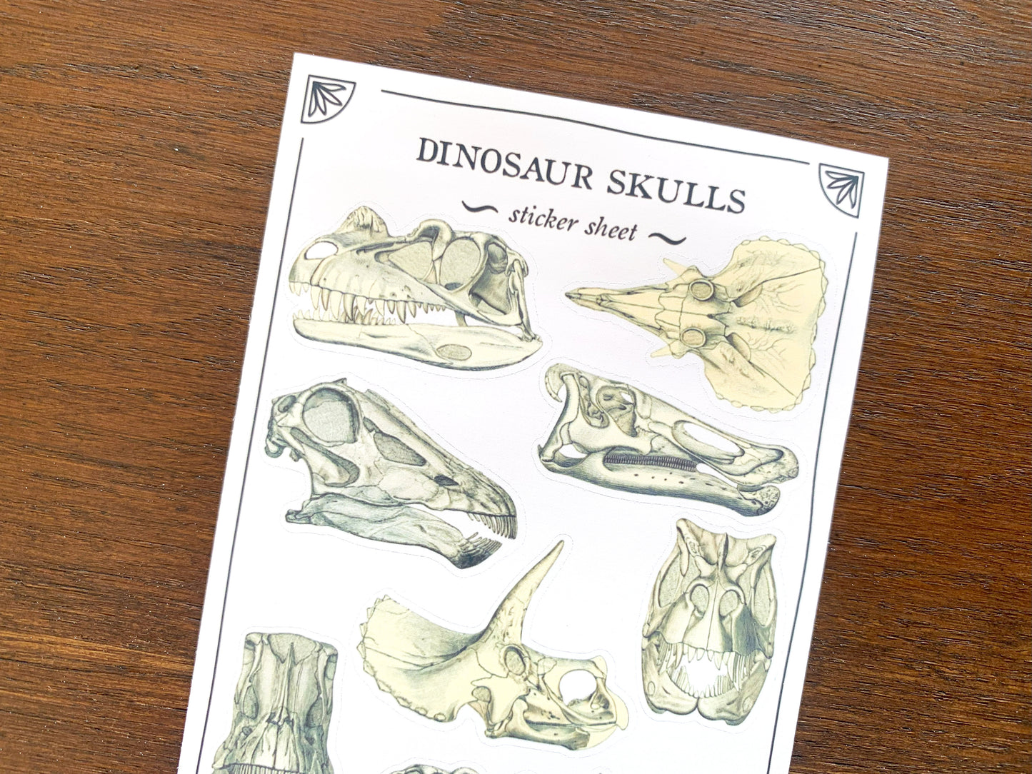 Dinosaur Skulls Sticker Sheet
