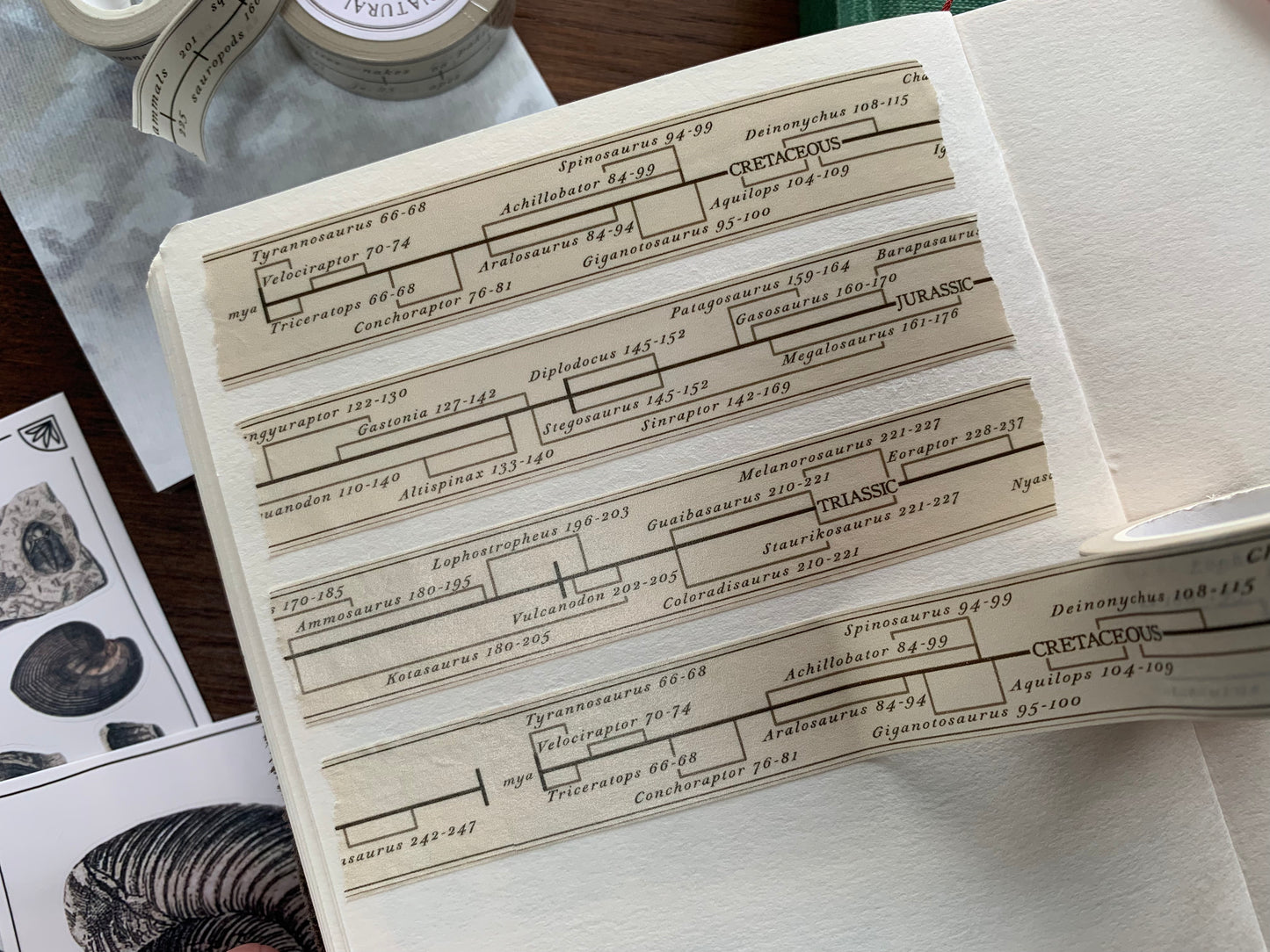 Dinosaur Timeline Washi Tape
