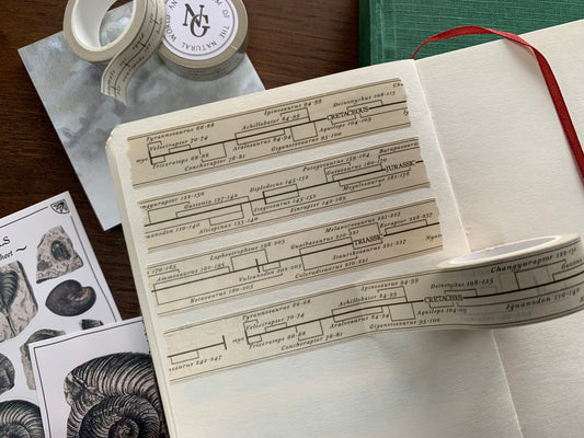 Dinosaur Timeline Washi Tape