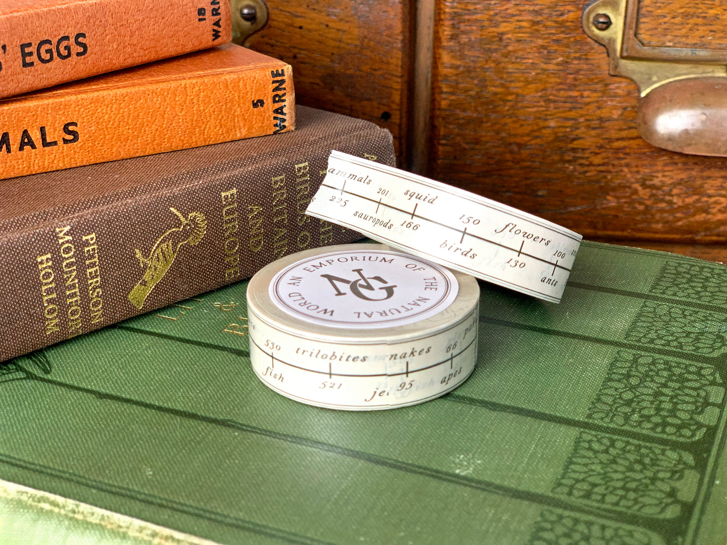 First Evidence of Animals Washi Tape