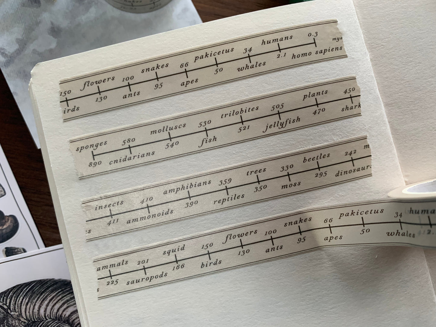 First Evidence of Animals Washi Tape