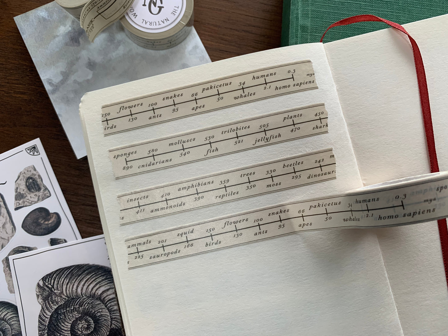First Evidence of Animals Washi Tape