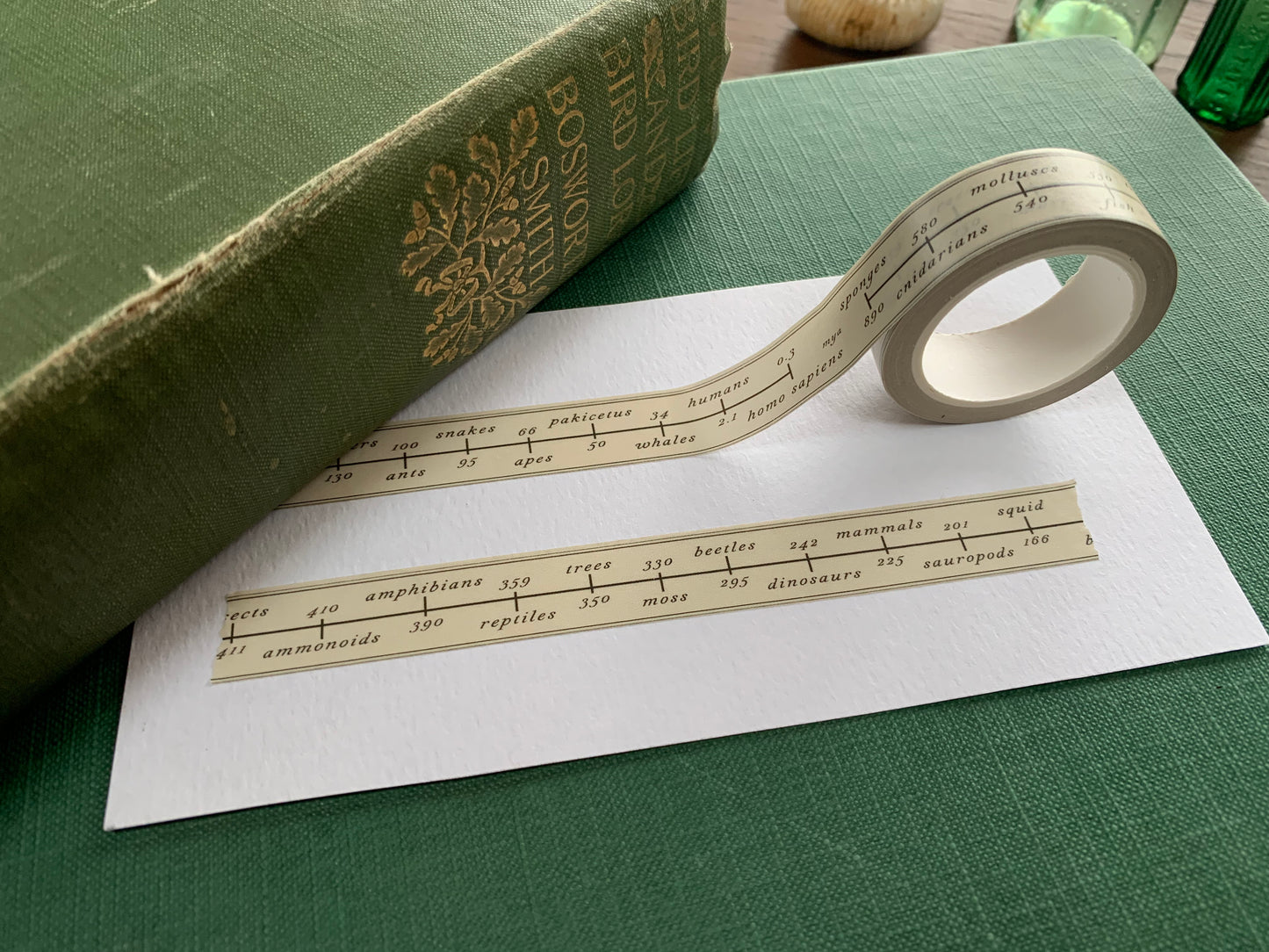 First Evidence of Animals Washi Tape