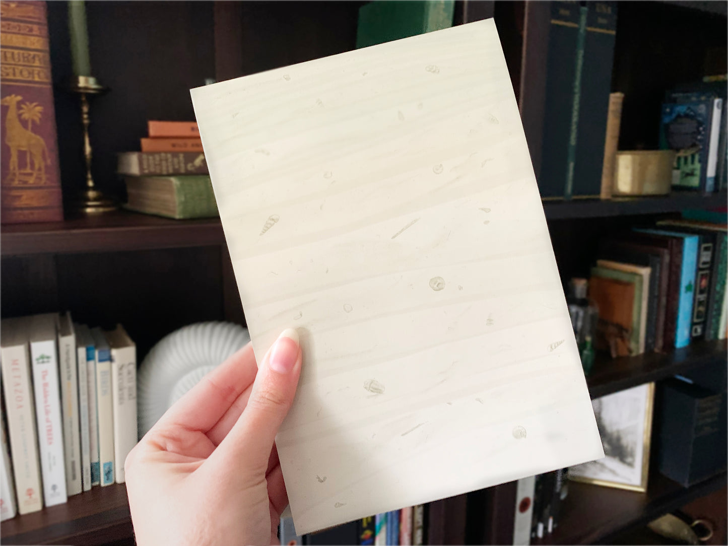 Fossil Rock Notepad