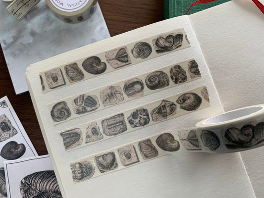Fossil Washi Tape