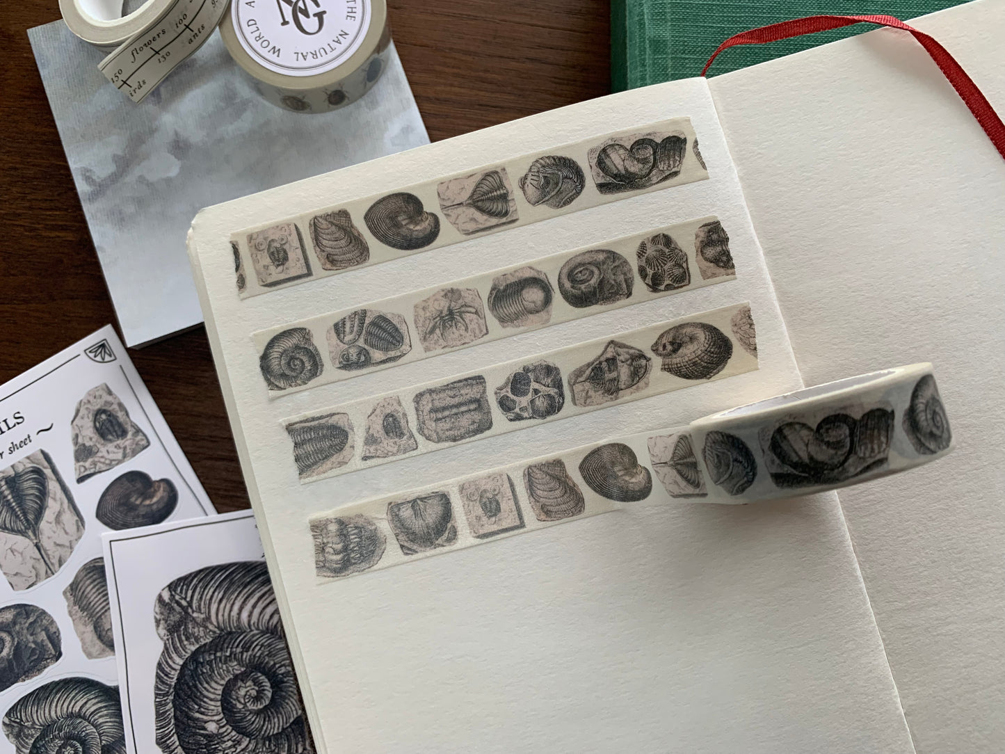 Fossil Washi Tape