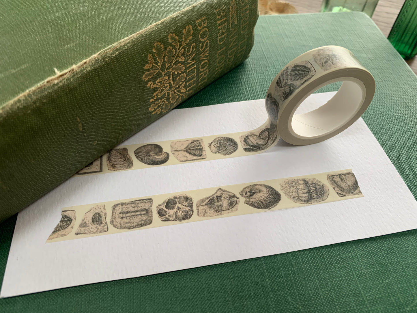 Fossil Washi Tape