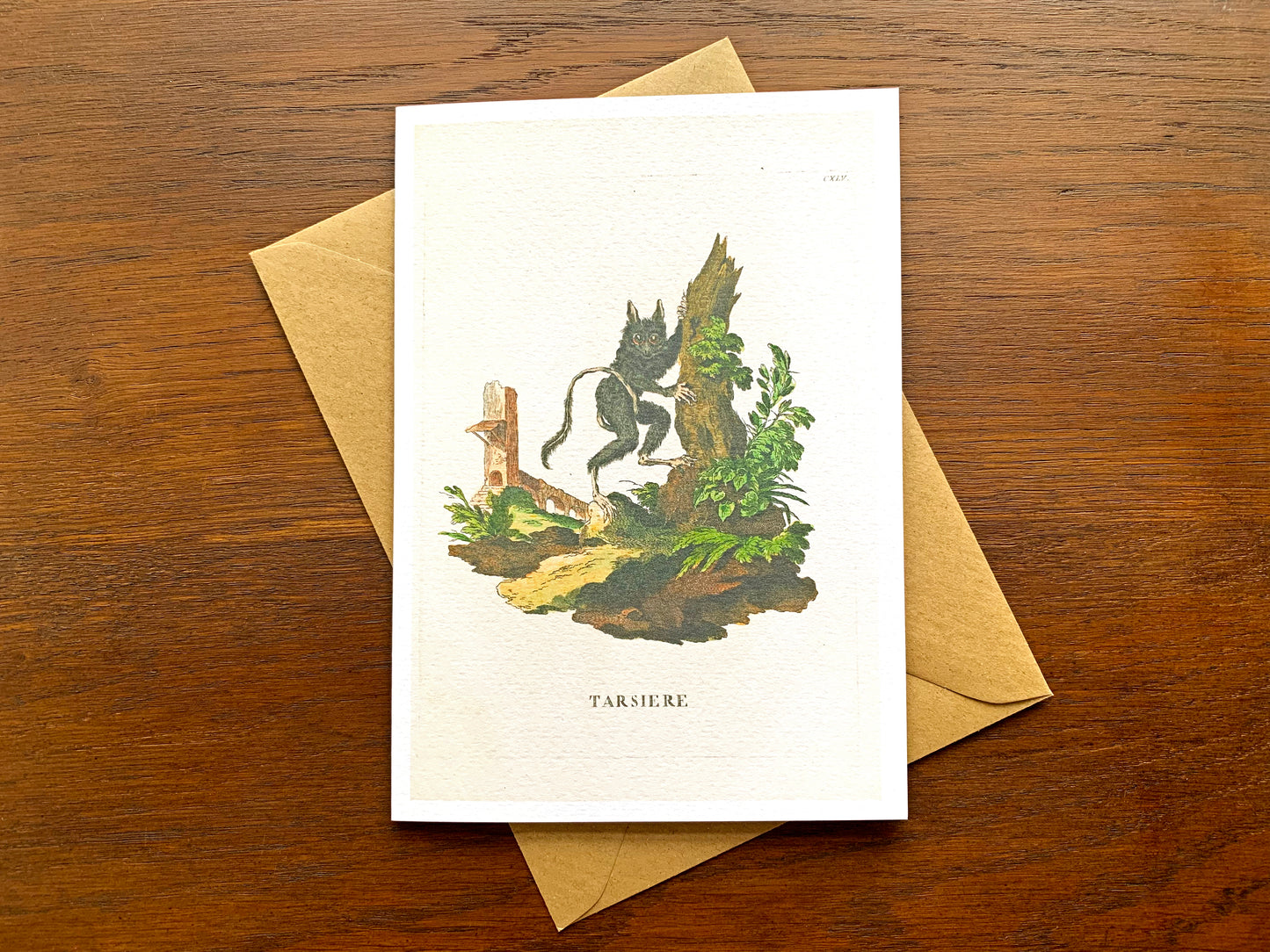 Tarsier Vintage Illustration Greetings Card