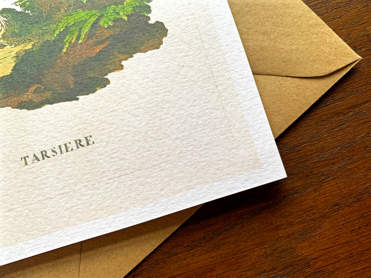 Tarsier Vintage Illustration Greetings Card