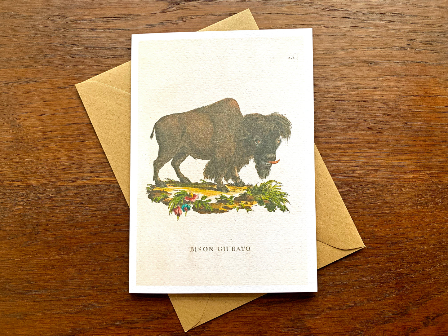 Bison Vintage Illustration Greetings Card