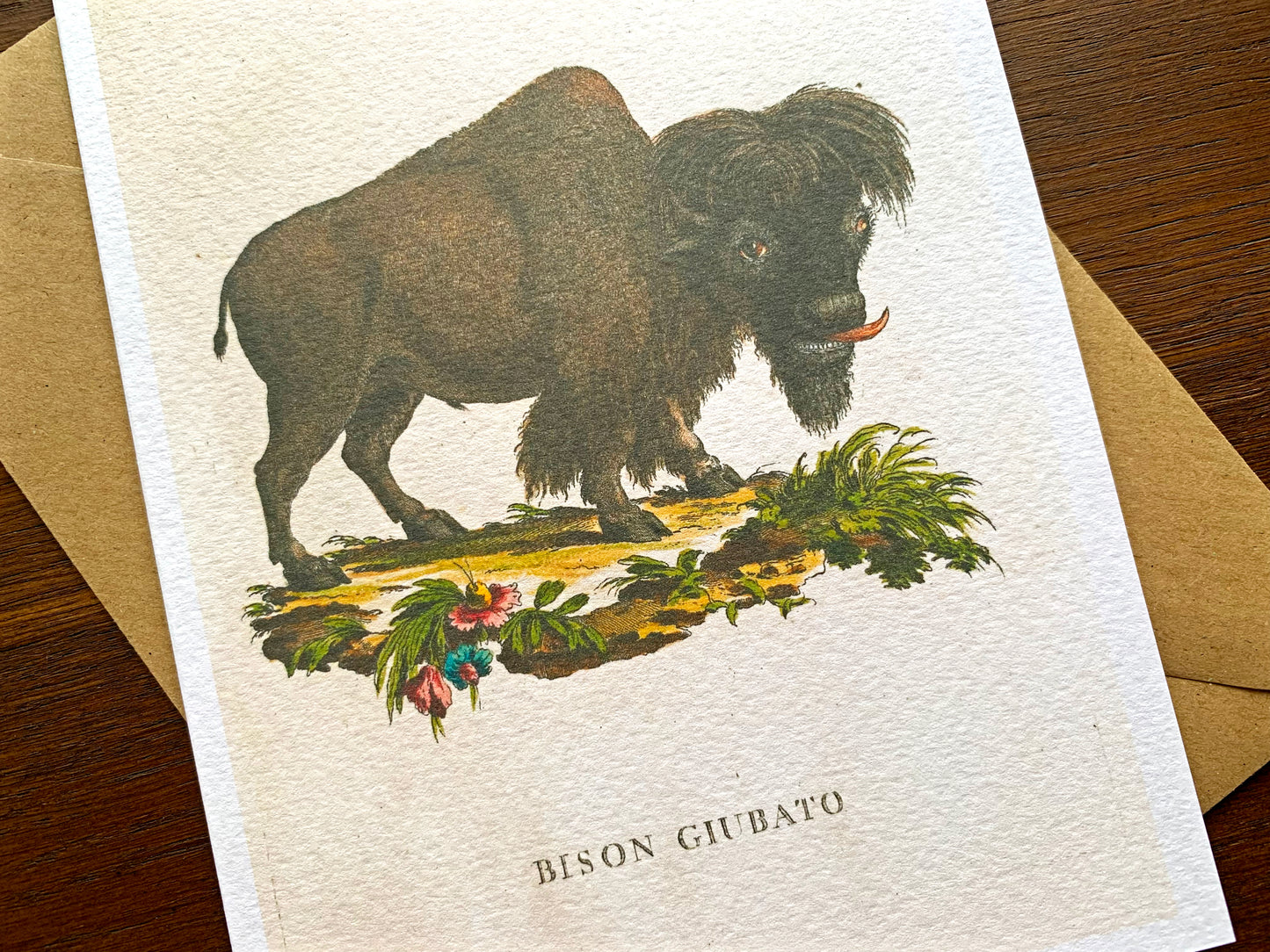 Bison Vintage Illustration Greetings Card