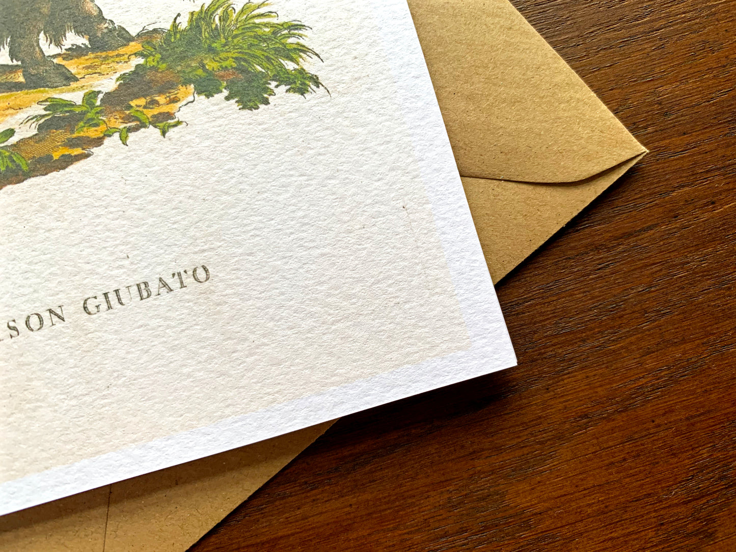 Bison Vintage Illustration Greetings Card