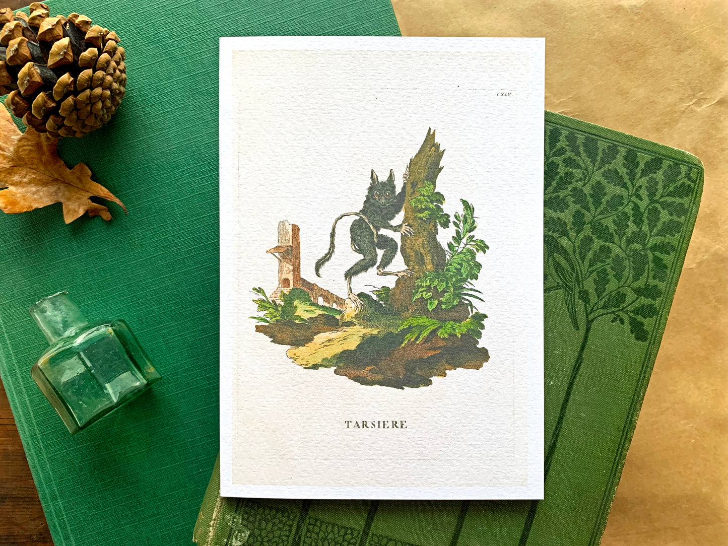 Tarsier Vintage Illustration Greetings Card