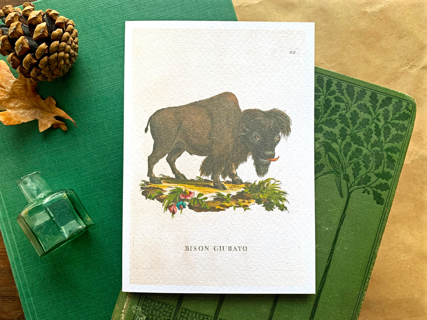 Bison Vintage Illustration Greetings Card