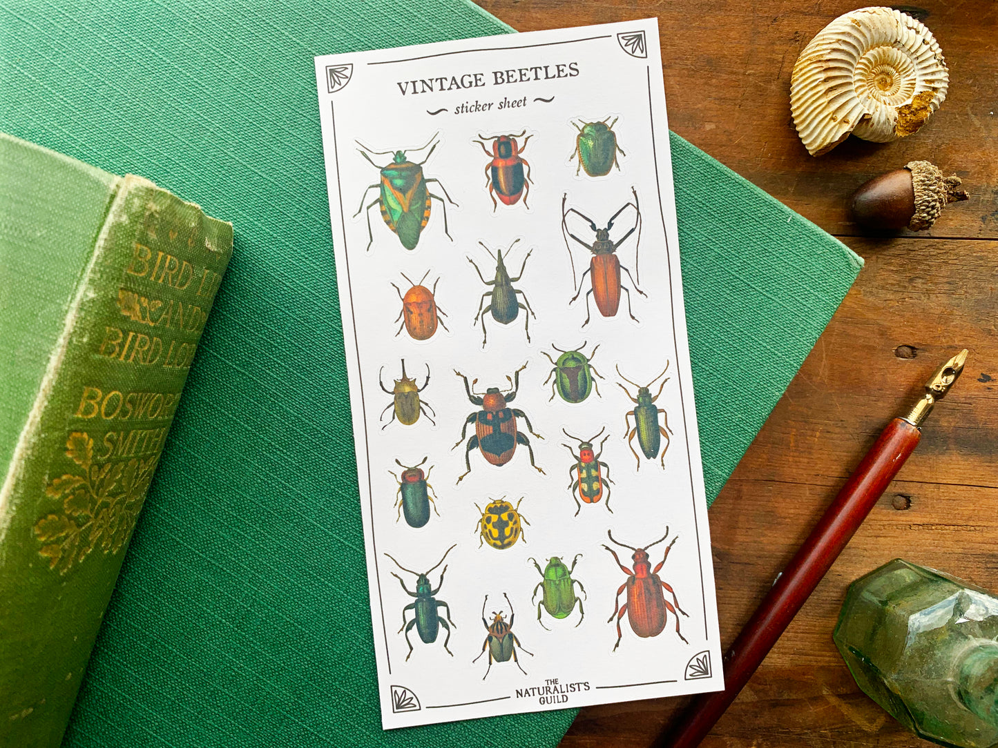 Vintage Beetles Sticker Sheet