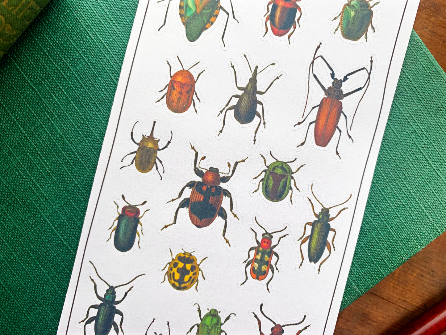 Vintage Beetles Sticker Sheet