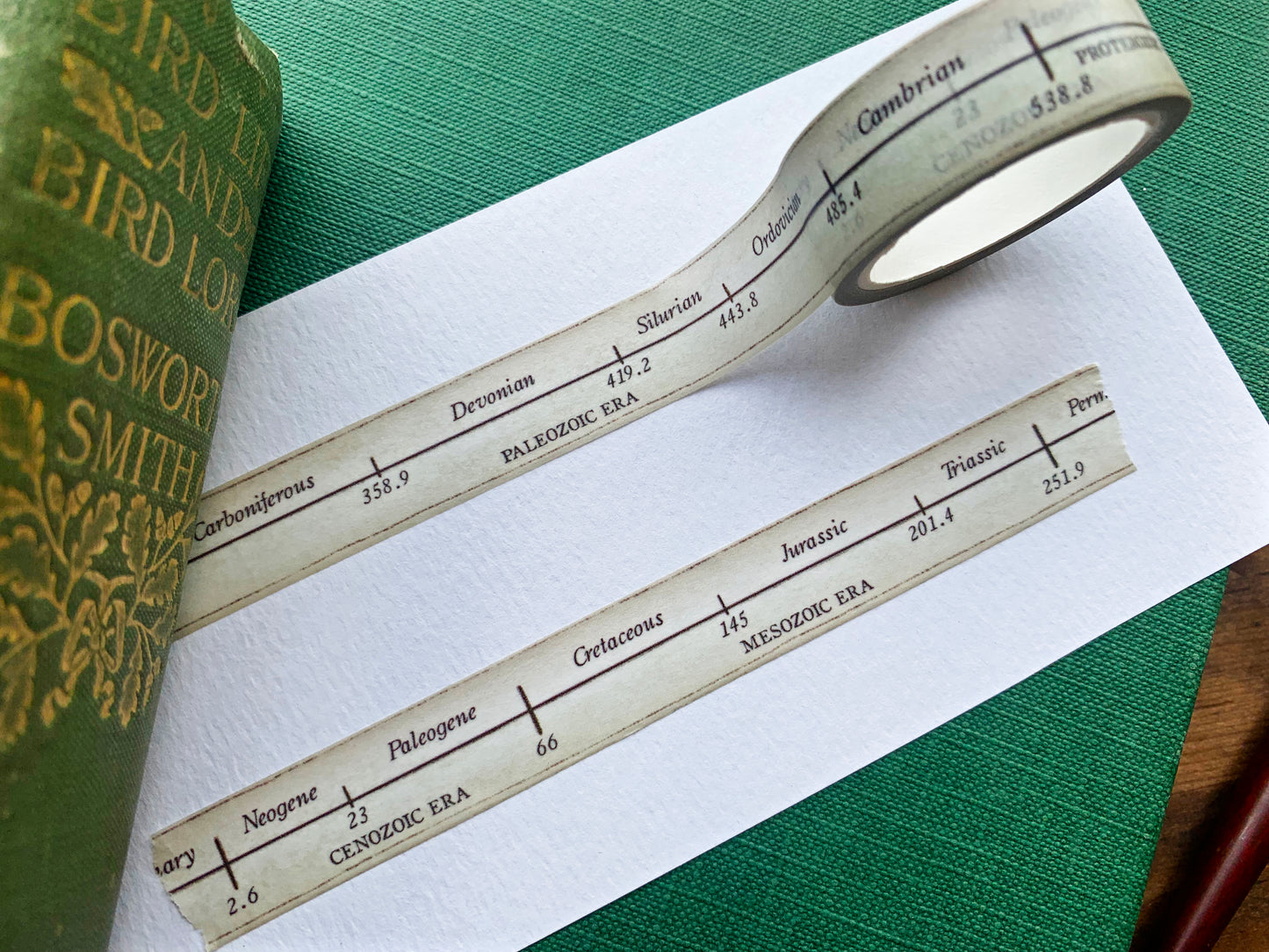 Geological Timeline Washi Tape