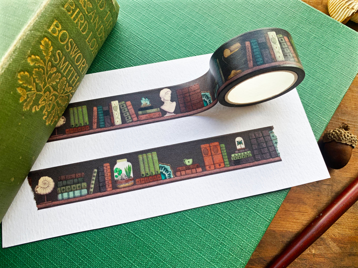 The Naturalist's Study Washi Tape