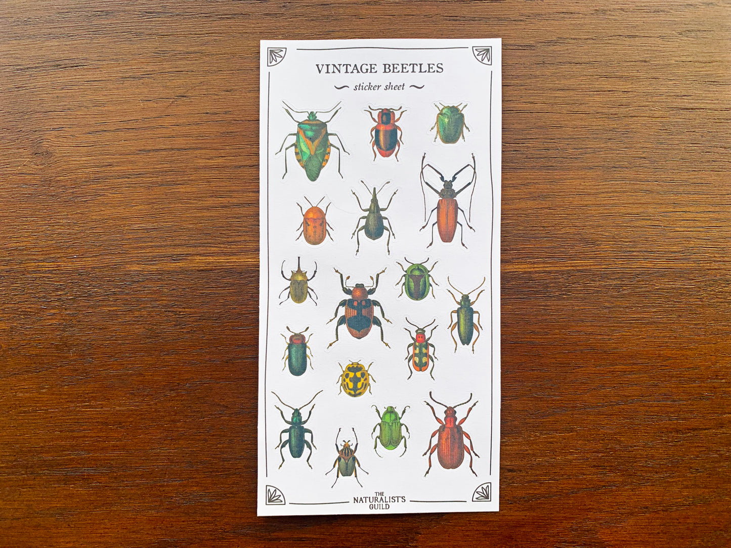 Vintage Beetles Sticker Sheet