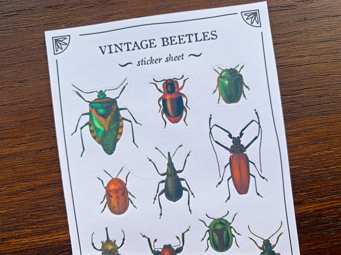 Vintage Beetles Sticker Sheet