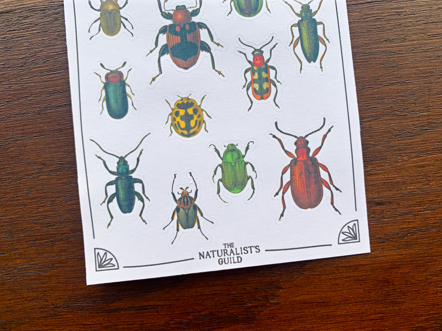 Vintage Beetles Sticker Sheet