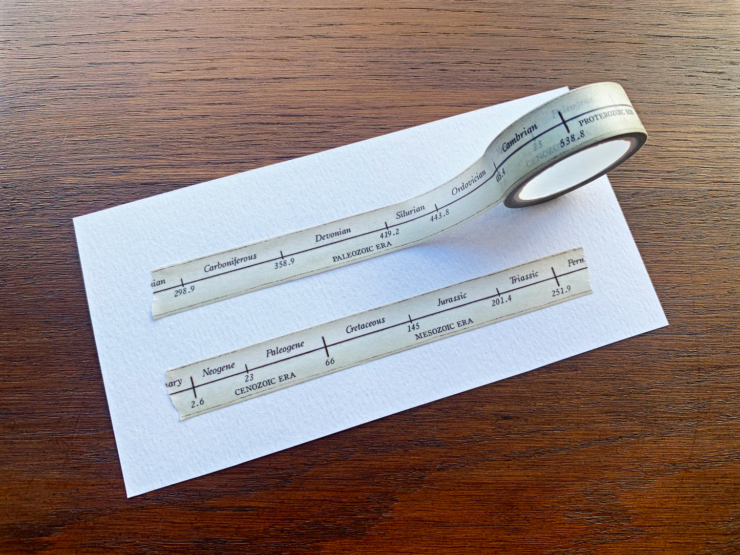 Geological Timeline Washi Tape