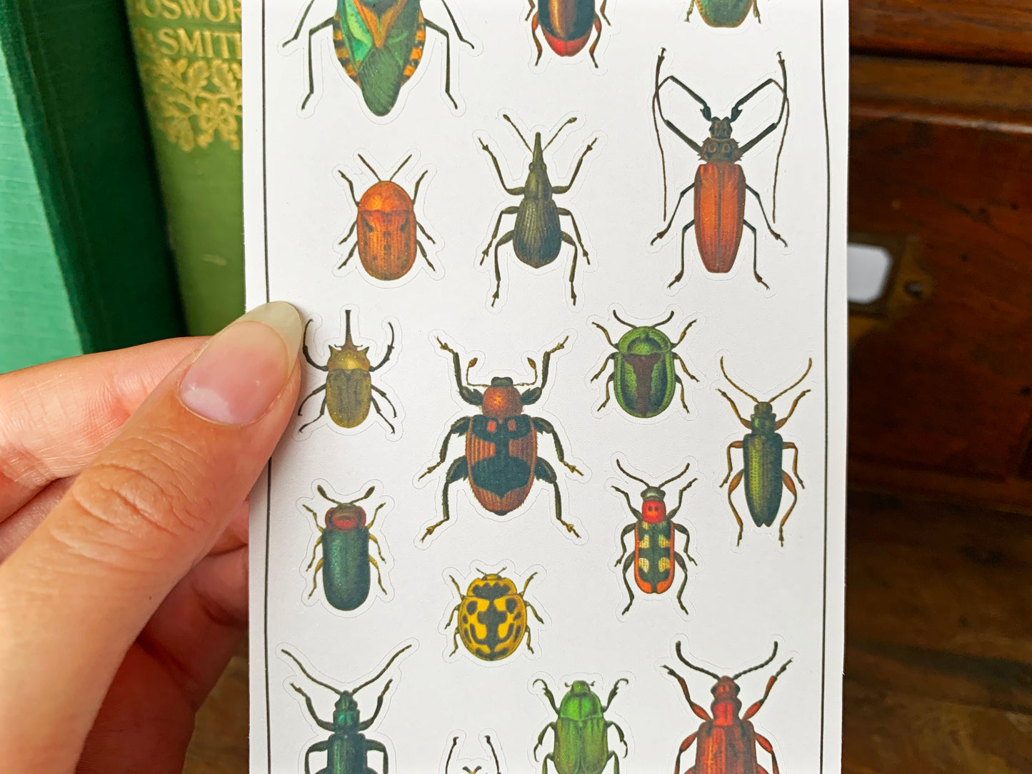 Vintage Beetles Sticker Sheet