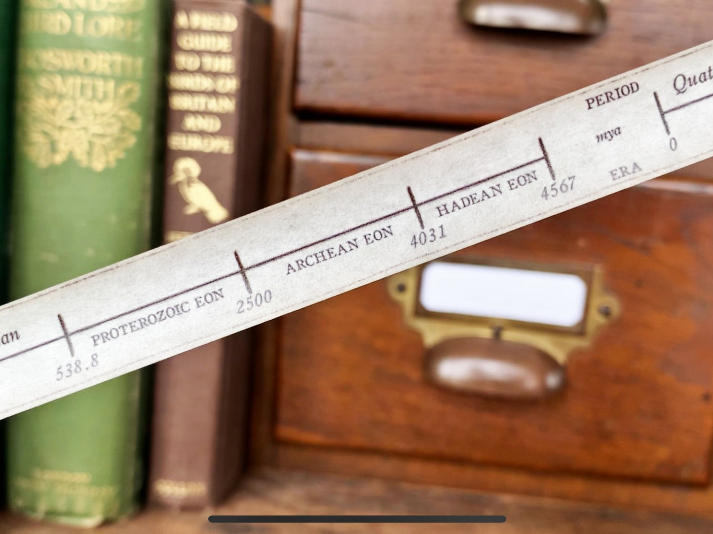 Geological Timeline Washi Tape