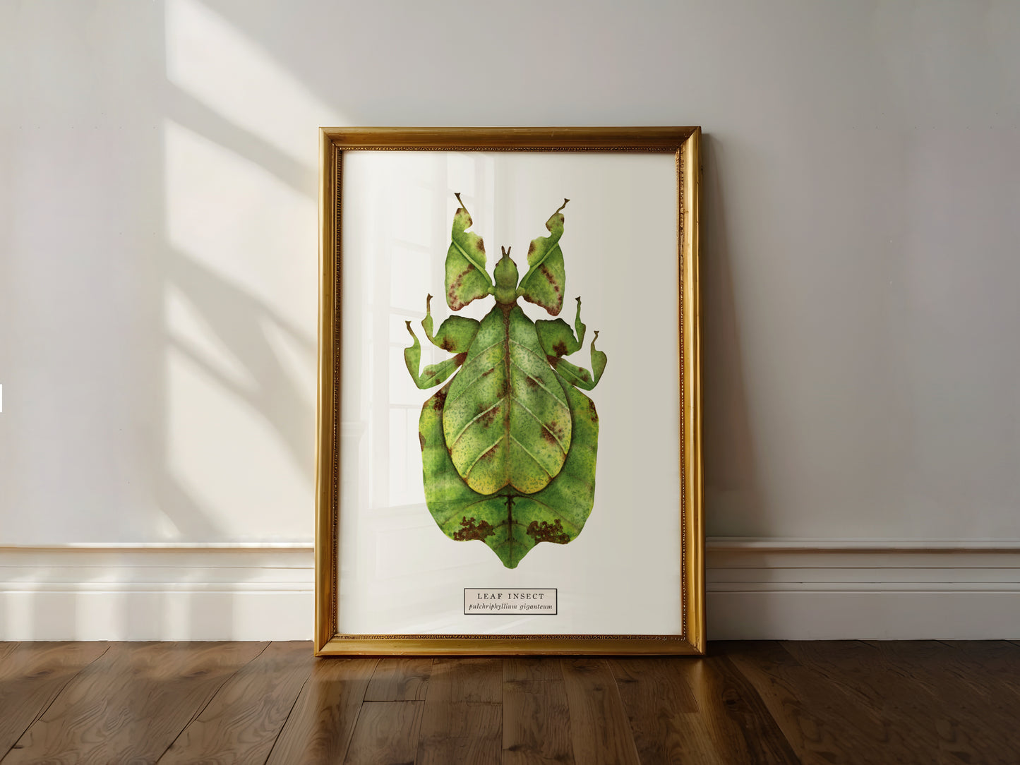 Leaf Insect Art Print