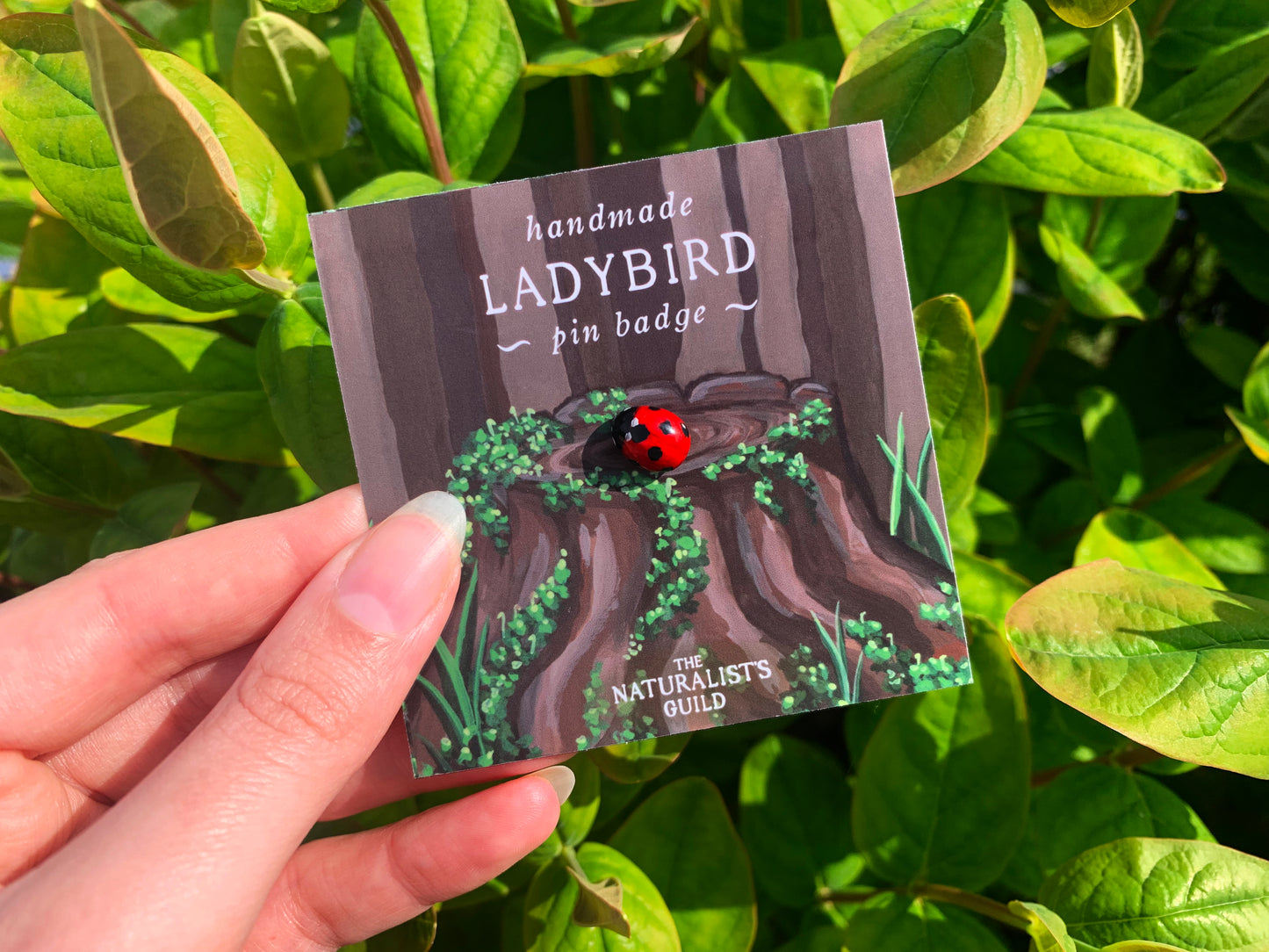 Realistic Ladybird Pin
