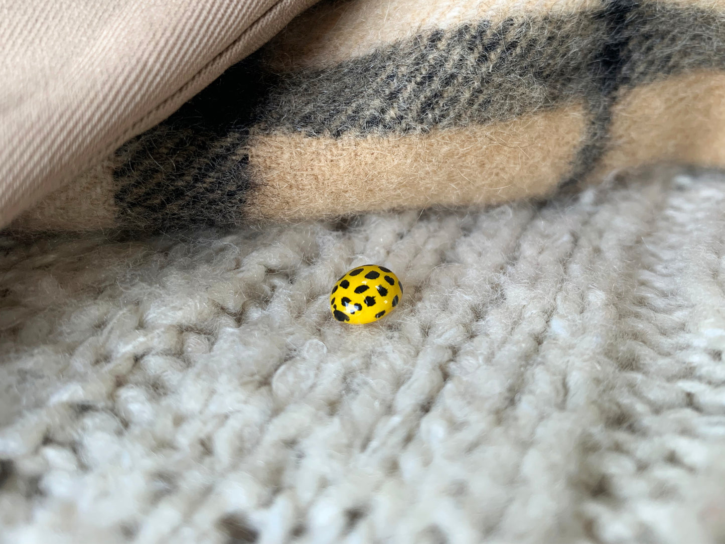 Realistic Yellow Ladybird Pin