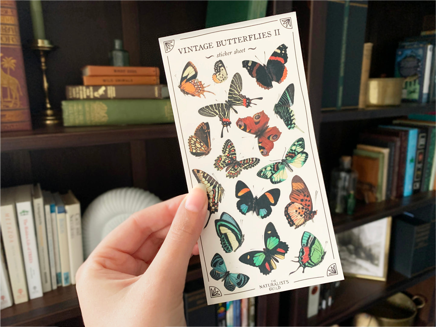 Vintage Butterflies II Sticker Sheet