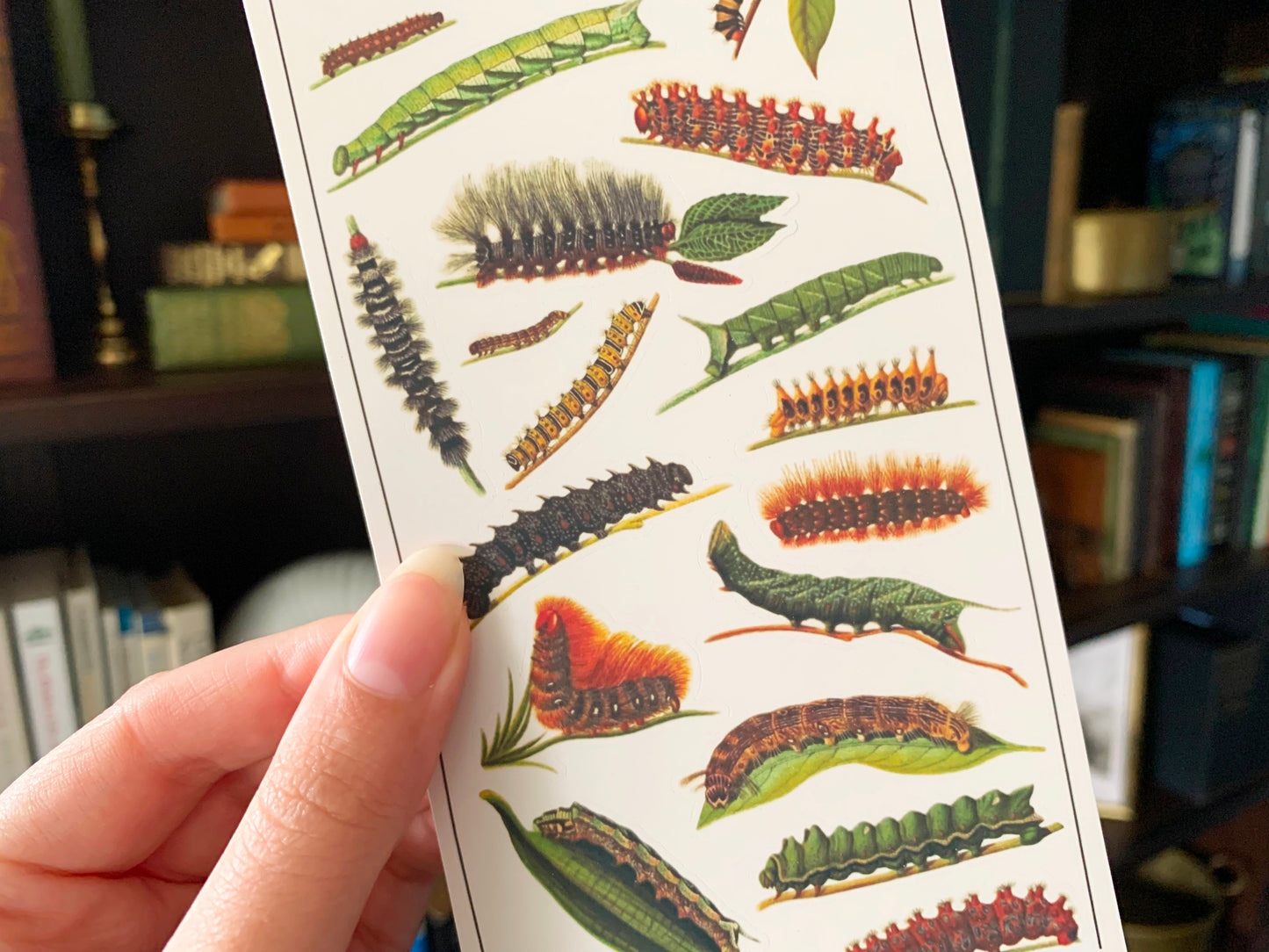 Vintage Caterpillars Sticker Sheet