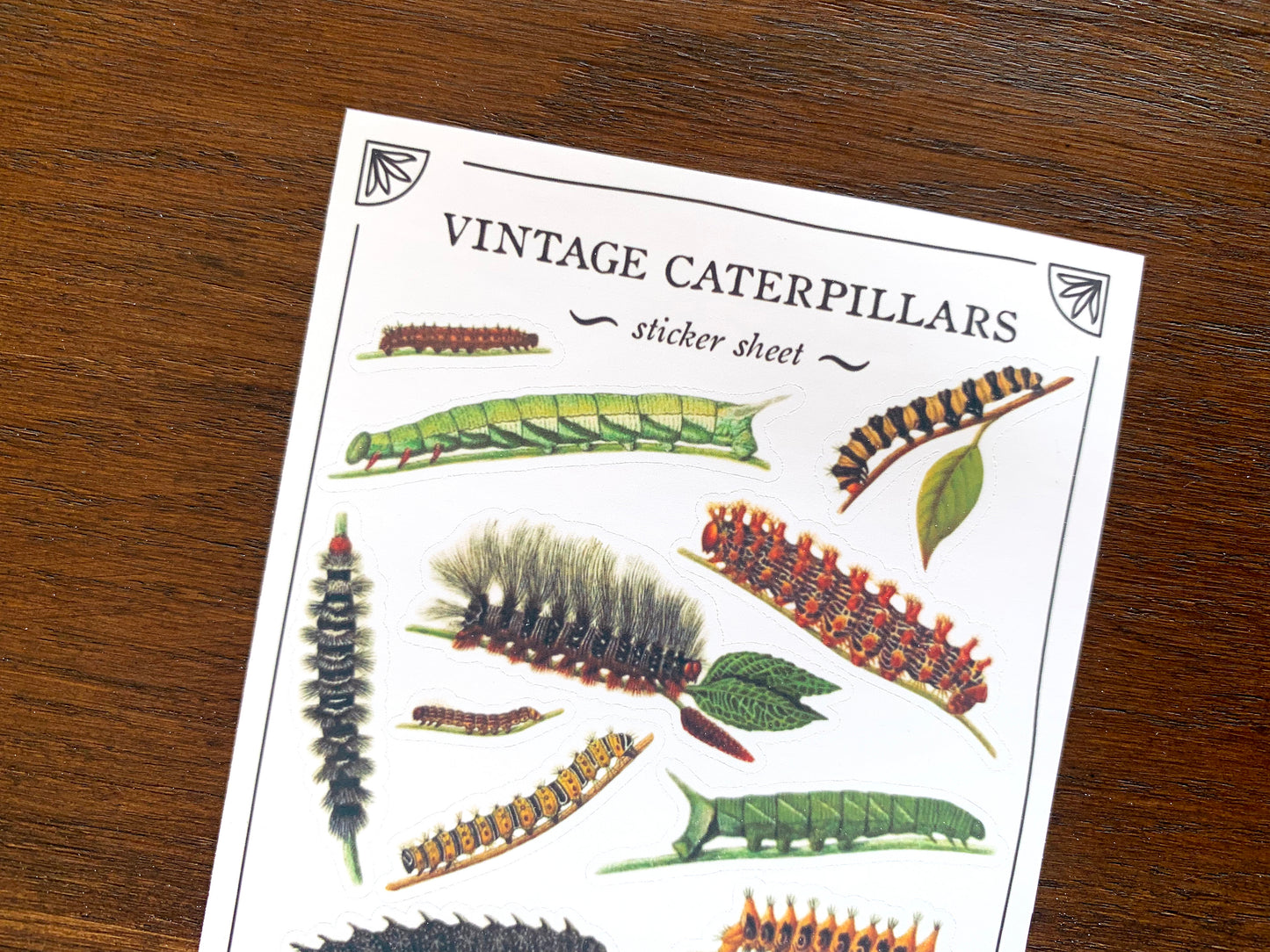 Vintage Caterpillars Sticker Sheet