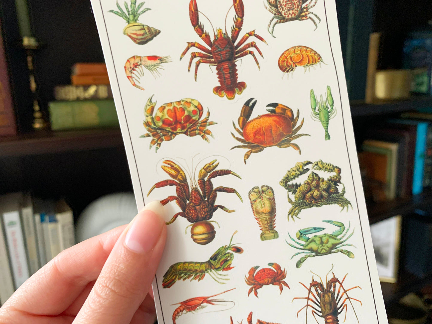 Vintage Crustaceans Sticker Sheet
