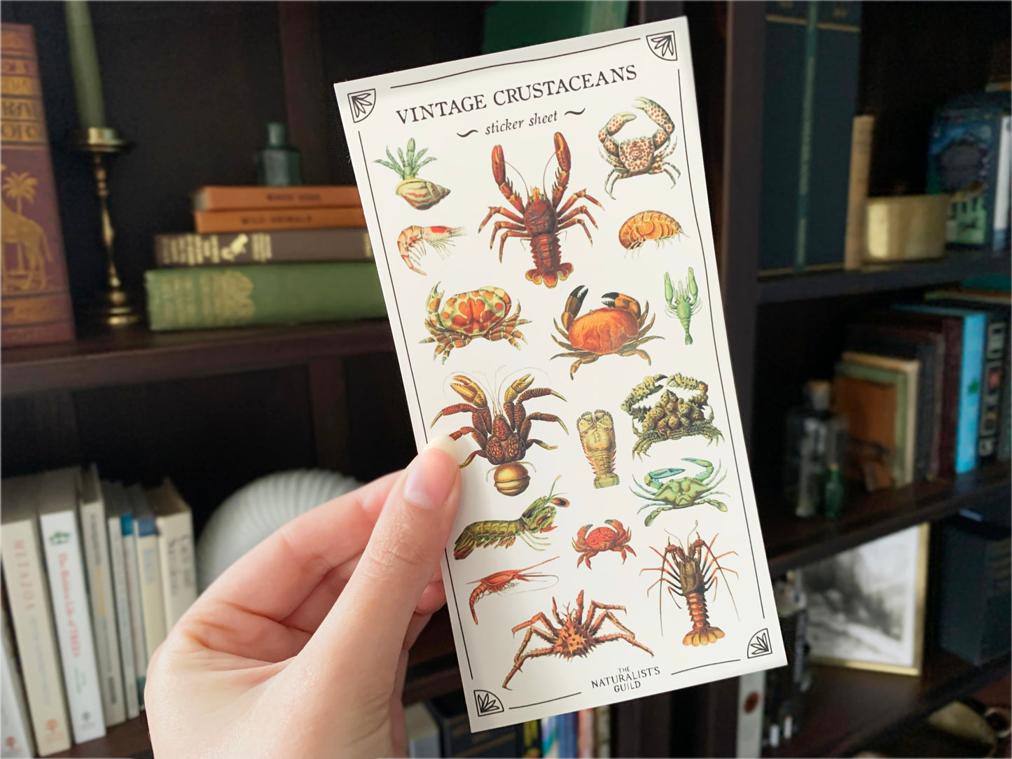 Vintage Crustaceans Sticker Sheet