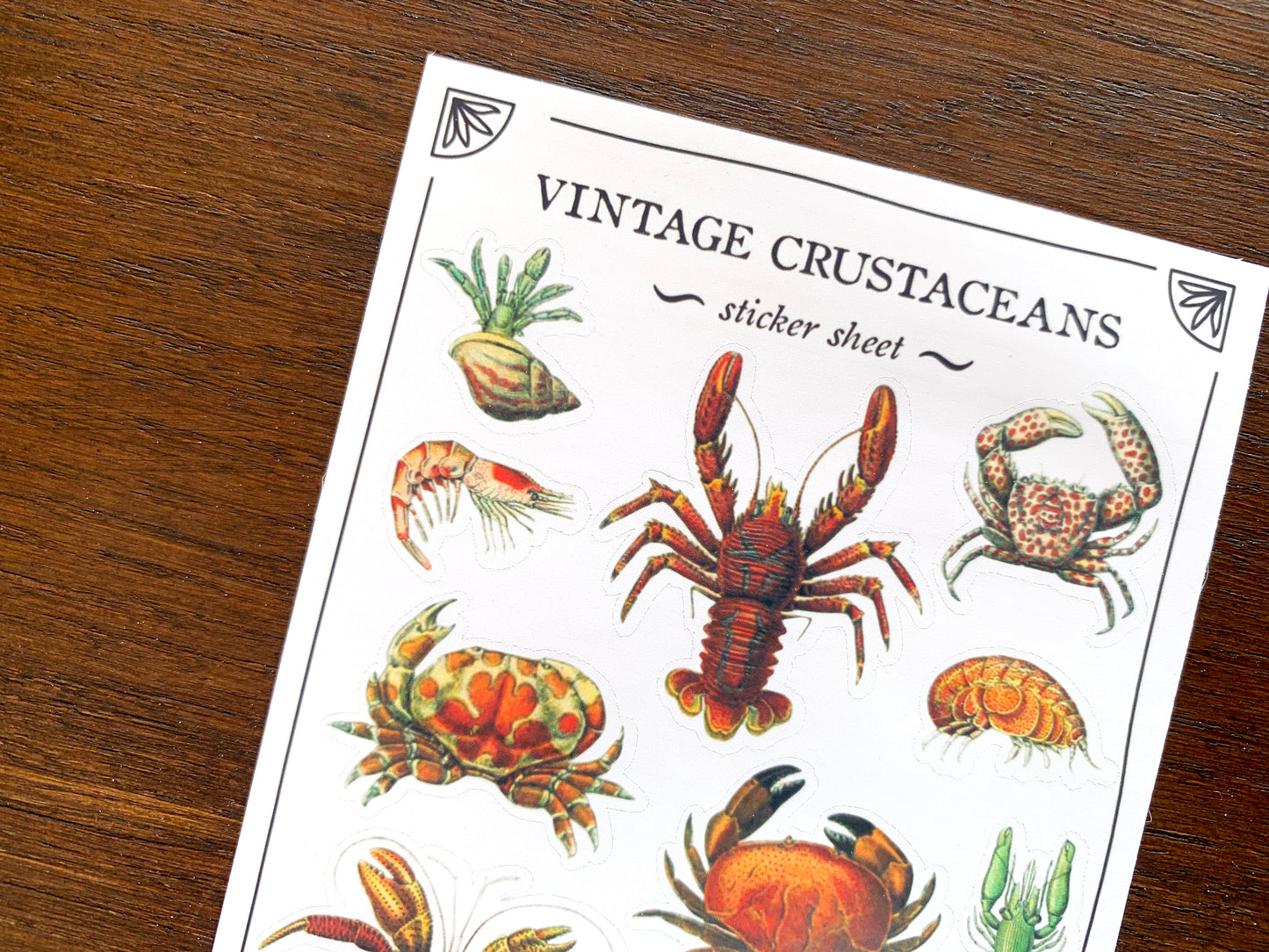 Vintage Crustaceans Sticker Sheet