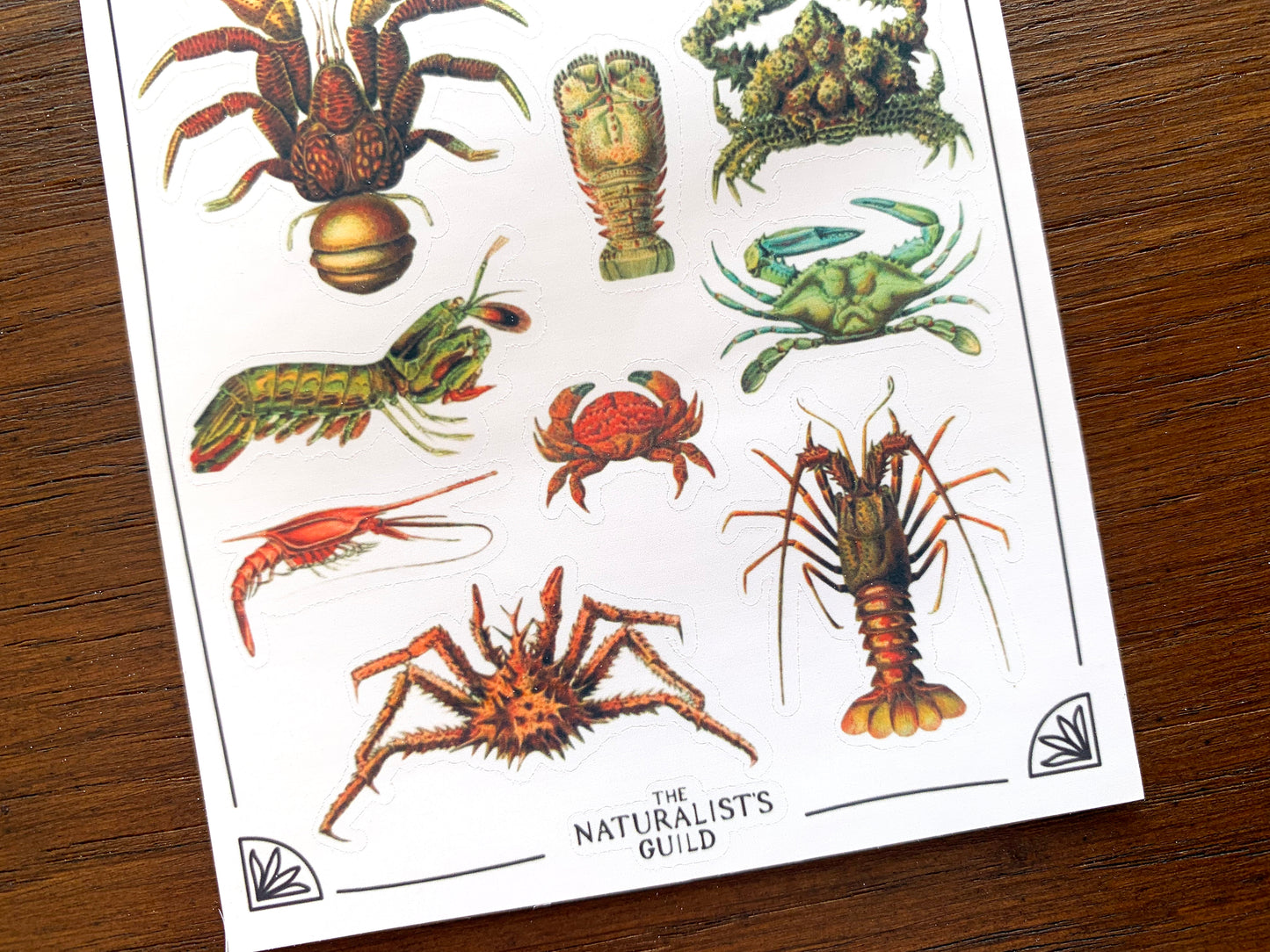 Vintage Crustaceans Sticker Sheet