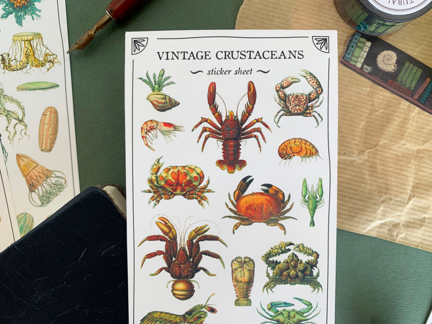 Vintage Crustaceans Sticker Sheet