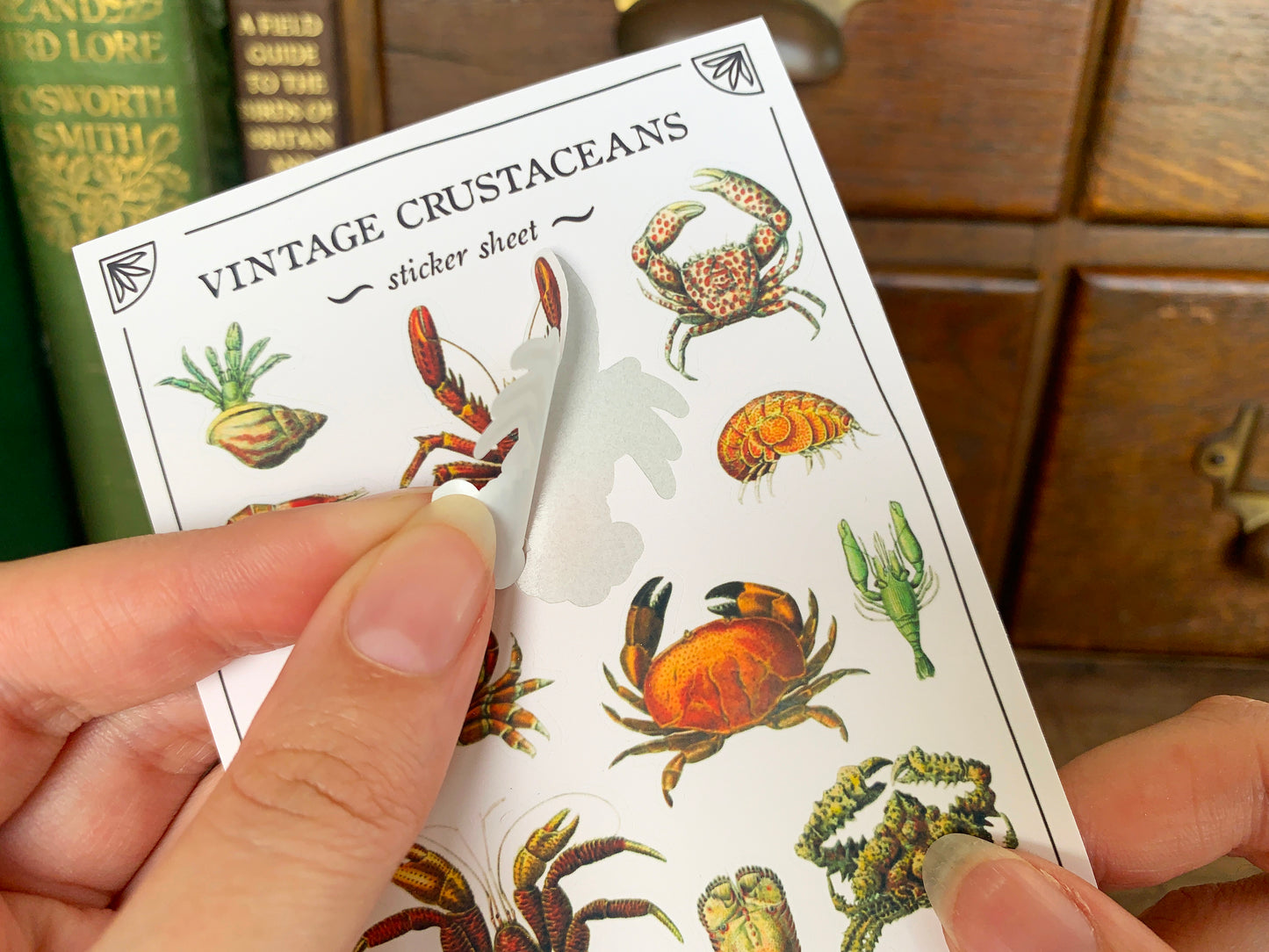 Vintage Crustaceans Sticker Sheet