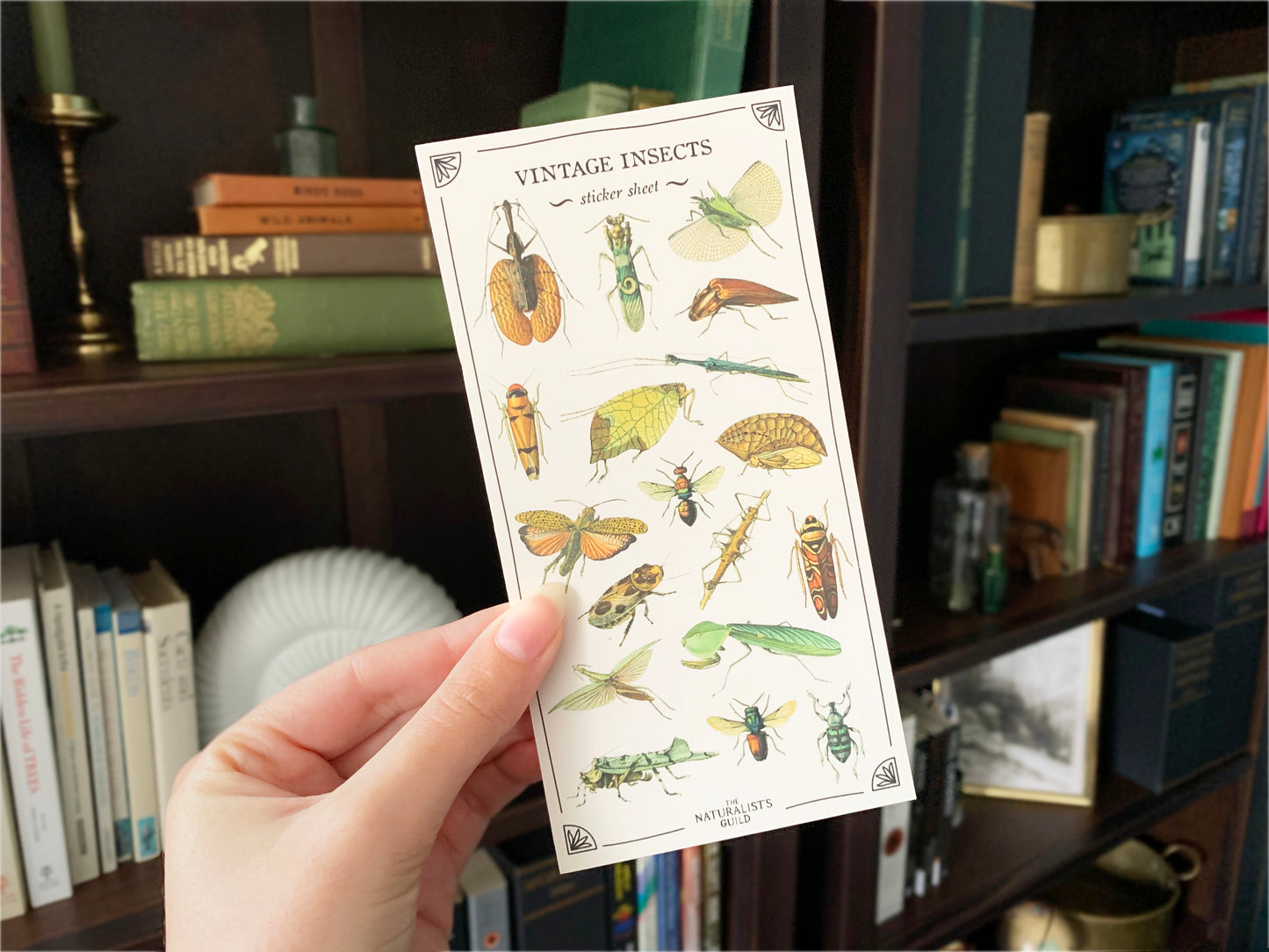 Vintage Insects Sticker Sheet