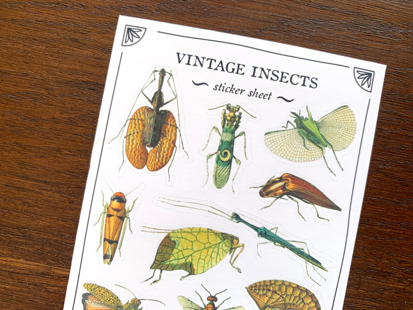Vintage Insects Sticker Sheet