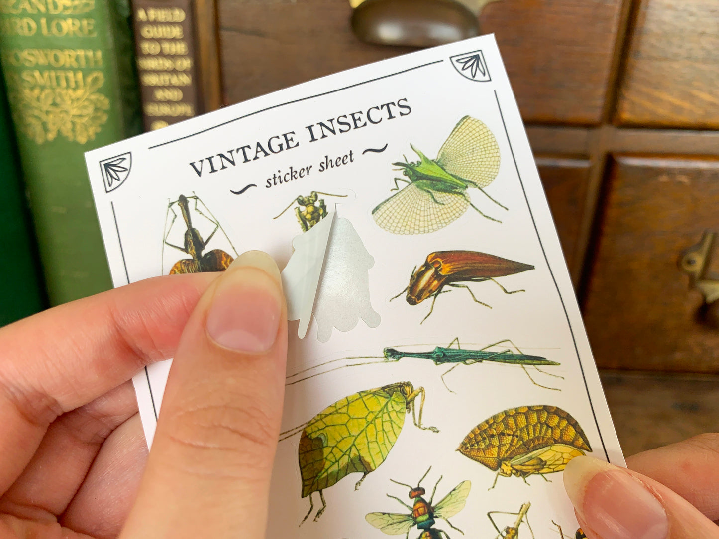 Vintage Insects Sticker Sheet