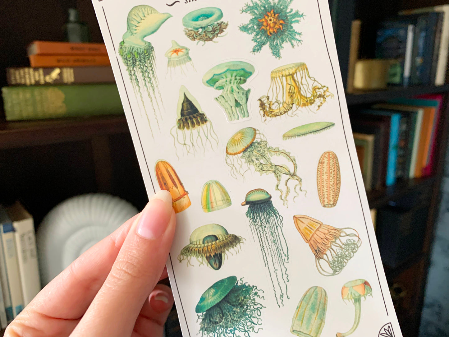 Vintage Jellyfish Sticker Sheet